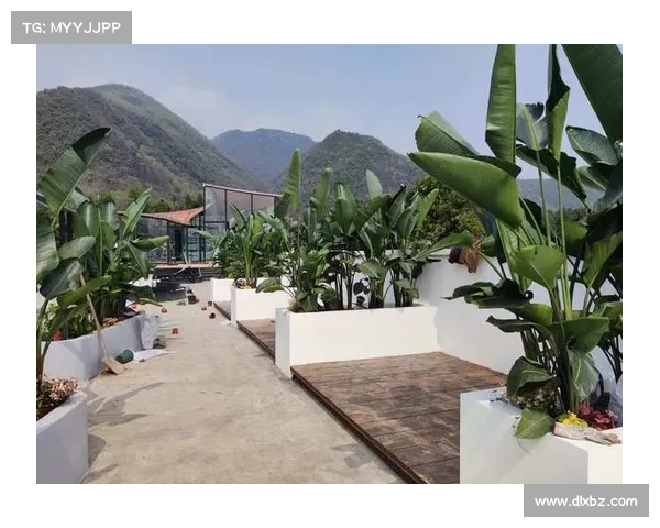 提升庭院宁静感的五个实用小建议让你的家园更舒适宜人 提升庭院宁静感的五个实用小建议让你的家园更舒适宜人