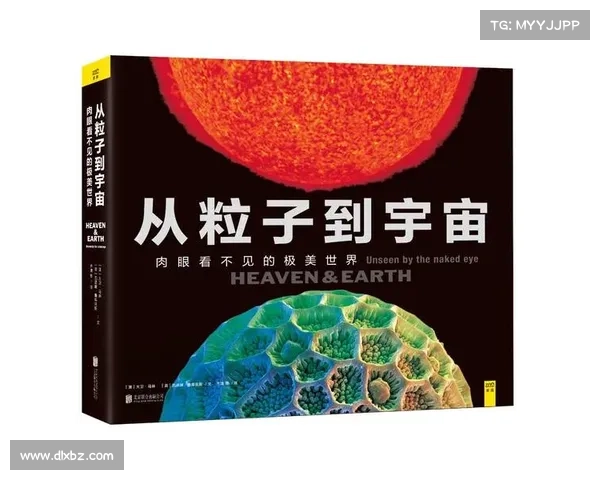 《探索失落秘术的五大关键要素:揭开未知领域的神秘面纱》 《探索失落秘术的五大关键要素:揭开未知领域的神秘面纱》