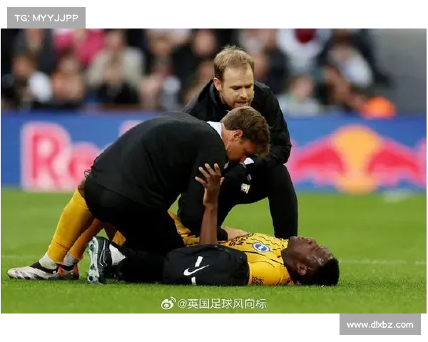 从文学形象与社会争议看如何理解维尔贝克黑贝这一称号的深层意涵 从文学形象与社会争议看如何理解维尔贝克黑贝这一称号的深层意涵