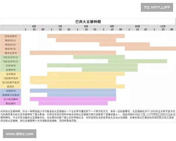中国足球与巴西历史平局的追踪与分析:从数据到比赛回顾 中国足球与巴西历史平局的追踪与分析:从数据到比赛回顾
