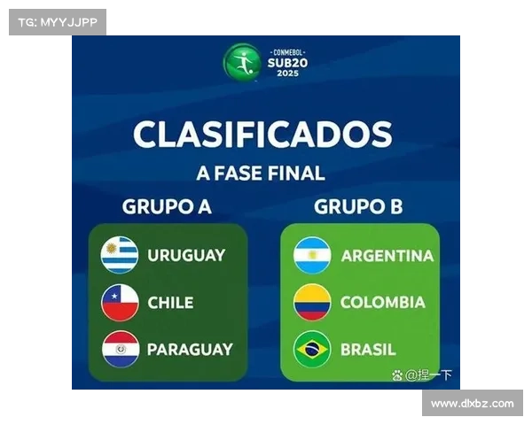 揭秘美洲杯冠军巴西队的成功秘诀与背后故事分析